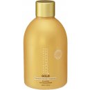 Vlasová regenerace Cocochoco Gold brazilský keratin 250 ml