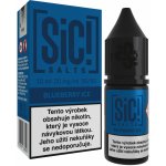 Sic!Salts Salt Blueberry Ice 10 ml 20 mg – Zboží Mobilmania