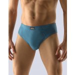 Gina slipy se širším bokem 71080 – Zboží Dáma