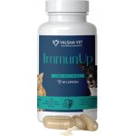 Valsam Vet Immunup 60 kapslí – Hledejceny.cz