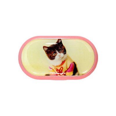 Optipak Limited pouzdro se zrcátkem motiv Kočky Kotě ve svetru