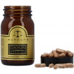 Puntura Cordyceps Extrakt 500 mg 100 rostlinných tobolek – Hledejceny.cz