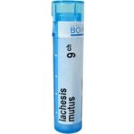 LACHESIS MUTUS POR 9CH GRA 4G – Hledejceny.cz