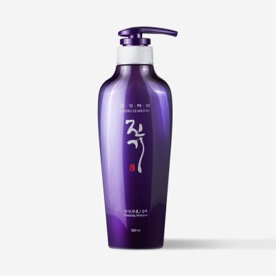 Daeng Gi Meo Ri Vitalizing Shampoo 300 ml – Zboží Mobilmania