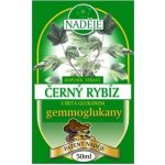 Naděje Černý rybíz s betaglukanem 50 ml – Hledejceny.cz