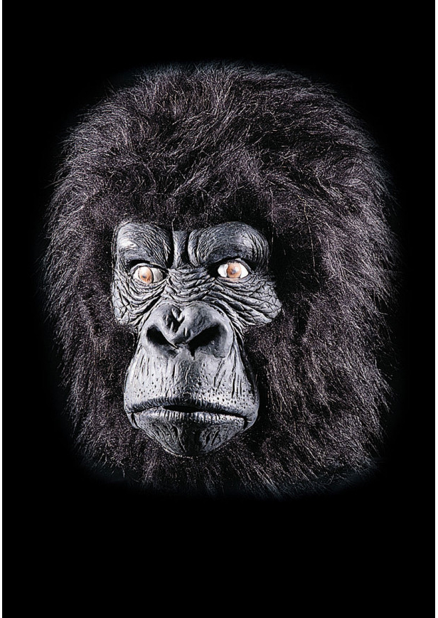 Carnival Toys Latexová maska opice