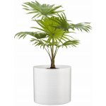 Scheurich květináč 828 Panna 16 cm bílý – Hledejceny.cz