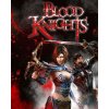 Hra na PC Blood Knights