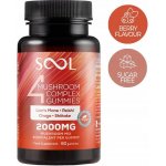 SOOL Mushroom Complex Lion's Mane Chaga Reishi Shiitake Borůvka 60 ks – Hledejceny.cz