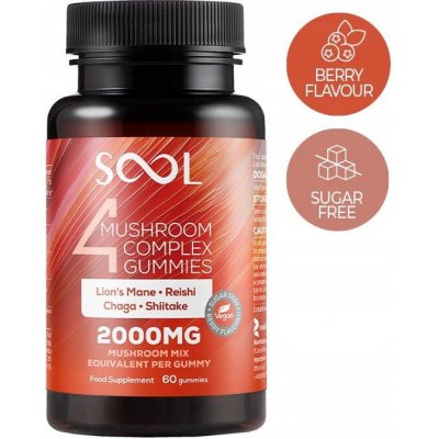 SOOL Mushroom Complex Lion's Mane Chaga Reishi Shiitake Borůvka 60 ks – Hledejceny.cz