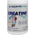 AllNutrition CREATINE MUSCLE MAX 250 g – Hledejceny.cz