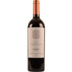 Chocalán Cabernet Sauvignon Gran Reserva ORIGEN 2020 14% 0,75 l (holá láhev) – Hledejceny.cz