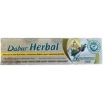 Dabur Ajurvédská pro kompletní péči 141 g – Hledejceny.cz