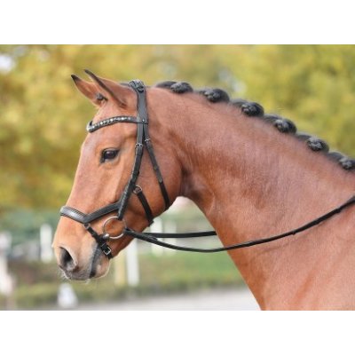 BUSSE Feeling Anatomická kožená černá – Hledejceny.cz