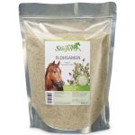 Stiefel Psyllium 1 kg – Sleviste.cz