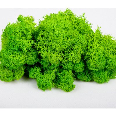 Islandský stabilizovaný, preparovaný mech 1Kg světle zelená – Sleviste.cz