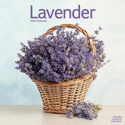 Lavender Square Flowers Wall 16 Month 2024