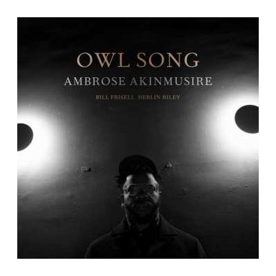 Ambrose Akinmusire - Owl Song LP – Hledejceny.cz