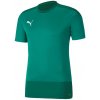 Fotbalový dres Puma Team Goal 23 zelená/ Bílá Pánské