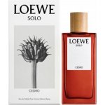 Loewe Solo Loewe Cedro toaletní voda pánská 50 ml – Hledejceny.cz