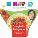 Hipp Bio Boloňské špagety 250 g – Zboží Mobilmania