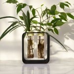 PlantBee Sada na množení rostlin Gemea XL černá – Hledejceny.cz