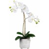 Květina Gasper Umělá květina Orchidej v keramickém květináči, bílá, 50 cm