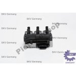 SKV Zapalovací cívka VW BORA GOLF IV 2.8 NEW BEETLE – Hledejceny.cz