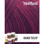La Riché Directions 00 Dark Tulip 89 ml – Hledejceny.cz