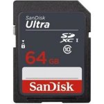 SanDisk SDXC UHS-I 64 GB SDSDUNR-064G-GN3IN – Zbozi.Blesk.cz