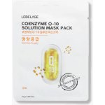 LEBELAGE Coenzyme Q-10 Solution Mask Pack O mlazující plátýnková maska 25 g – Zboží Dáma
