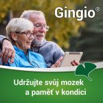 GINGIO POR 120MG TBL FLM 60 – Zboží Mobilmania