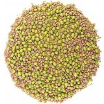 ZdravýDen Směs semen na klíčení 1 alfalfa ředkvička mungo 200 g – Hledejceny.cz