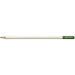 Tombow Irojiten Verdigris CI-RDL5 – Zboží Živě