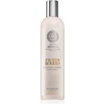 Natura Siberica Copenhagen Vitaminový šampon Zmrazené bobule 400 ml – Zboží Dáma