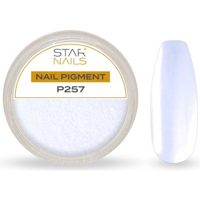 Starnails Nail Art zdobení pigment P257 – Hledejceny.cz