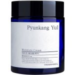 Pyunkang Yul Moisture Cream hydratační krém 100 ml – Hledejceny.cz