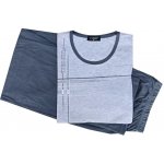 C lemon AK02 pánské pyžamo krátký rukáv šedé – Hledejceny.cz