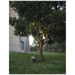 Nova Luce 9470581 – Hledejceny.cz