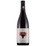Weingut Dr. Wehrheim Siebeldingen Rulandské modré suché červené 2018 13% 0,75 l (holá láhev) – Hledejceny.cz
