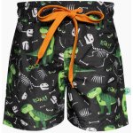 Veselé chlapecké plavky Dedoles Tyranosaurus Rex – Sleviste.cz