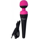 PalmPower Recharge Wand Massager