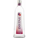 Divine Fig 16,6% 1 l (holá láhev) – Hledejceny.cz
