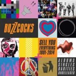 Buzzcocks - Sell You Everything 1991-2014 CD – Hledejceny.cz