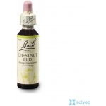 Nelsons Chestnut Bud 20 ml – Hledejceny.cz