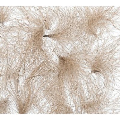 Hends CDC Peří Feathers Nature Beige Grey – Zboží Mobilmania
