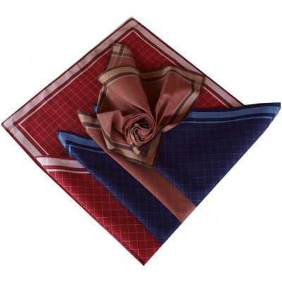 Etex kapesníky pánské 6ks z česané bavlny – Zboží Dáma