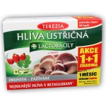 Terezia Company Hlíva ústřičná + laktobacily + vitamin C 60 kapslí – Hledejceny.cz