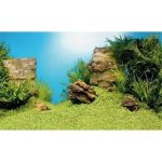 Juwel pozadí Poster 1 XL Plant Reef 150 x 60 cm – Hledejceny.cz