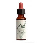 Bachovy květové esence Kaštan jedlý Sweet Chestnut 20 ml – Hledejceny.cz